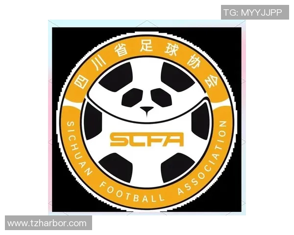 成都足球队实力强劲荣登全国足球实力排行榜第二名