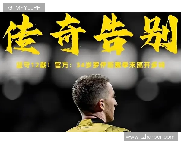 李字开头的足球明星们的辉煌成就与传奇故事全解析